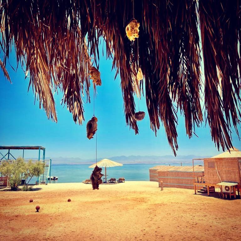 Hotel Half Moon Camp Taba Exterior foto