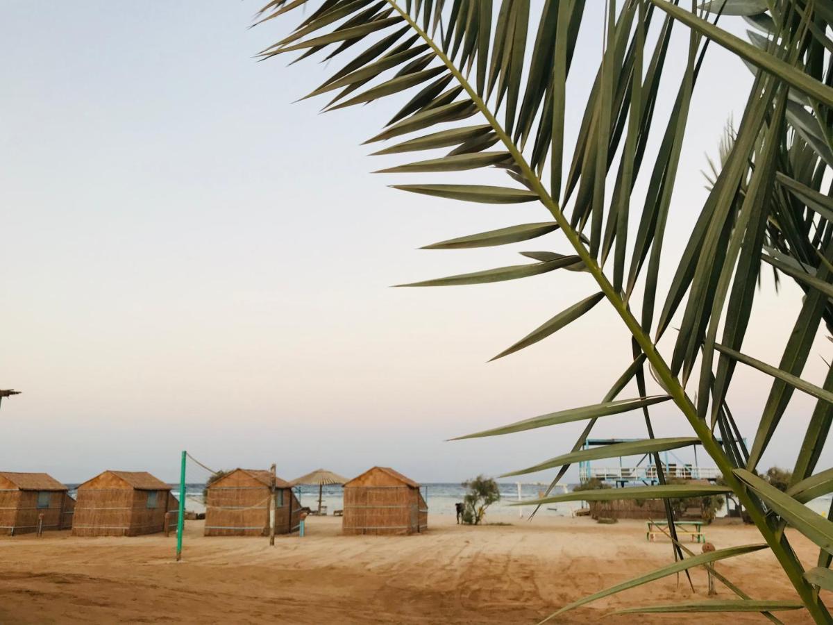 Hotel Half Moon Camp Taba Exterior foto