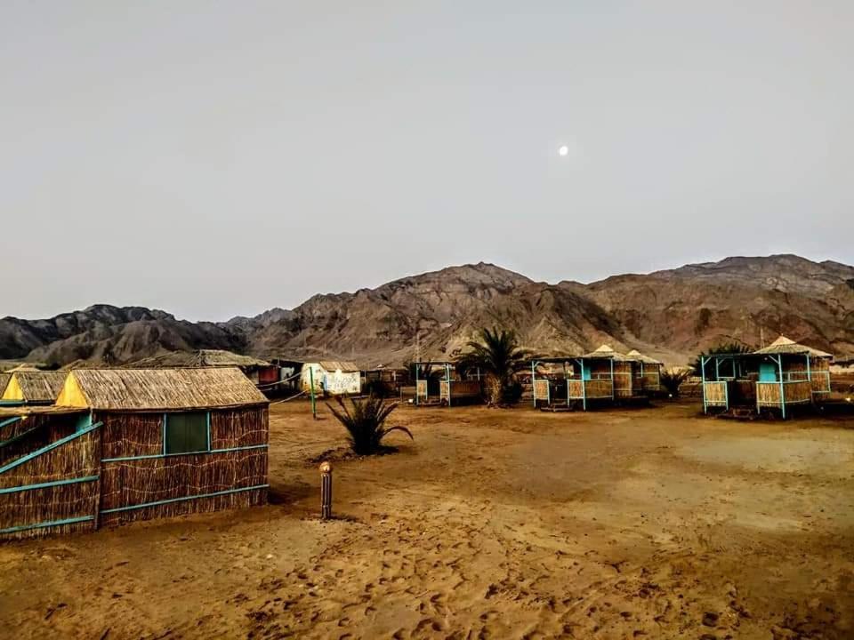 Hotel Half Moon Camp Taba Exterior foto